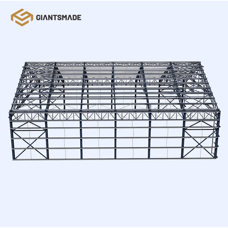 Steel Structure Hangar